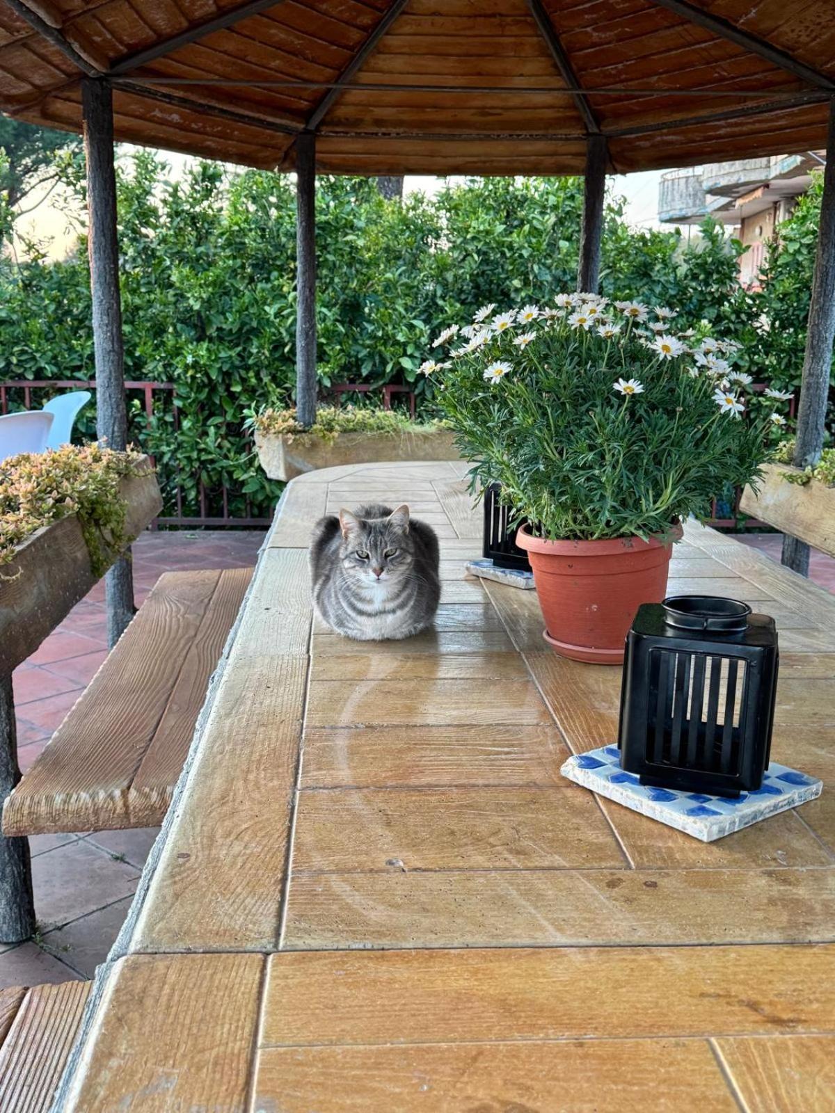 B&B Ioli Vesuvio Ercolano Luaran gambar